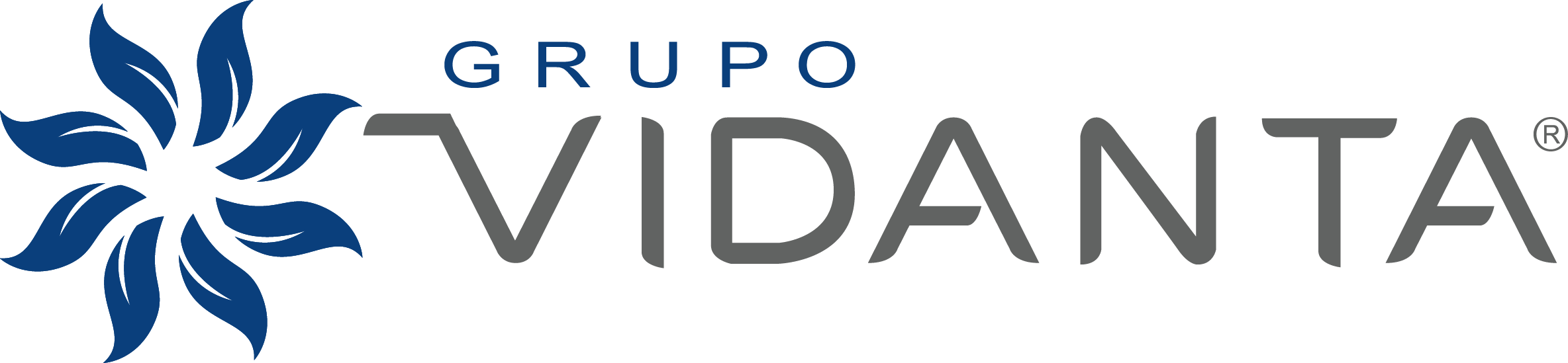 cropped-logo-grupo-vidanta-plano-02-11_6